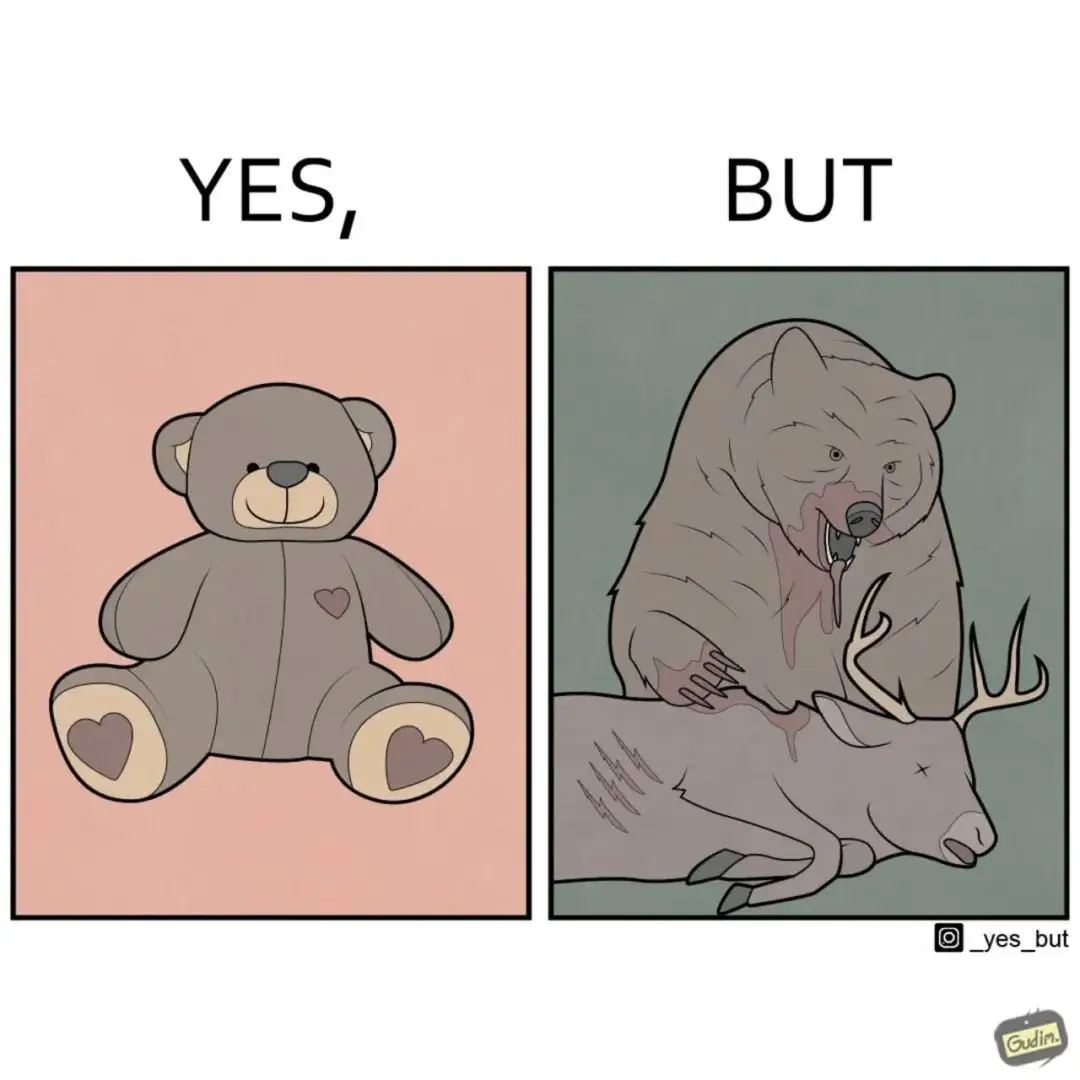 ddc21cace5e4acc0ac86f49128350563_MD5